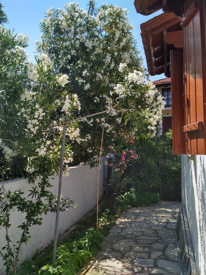 Kyriaki Hotel Skopelos Zewnętrze zdjęcie
