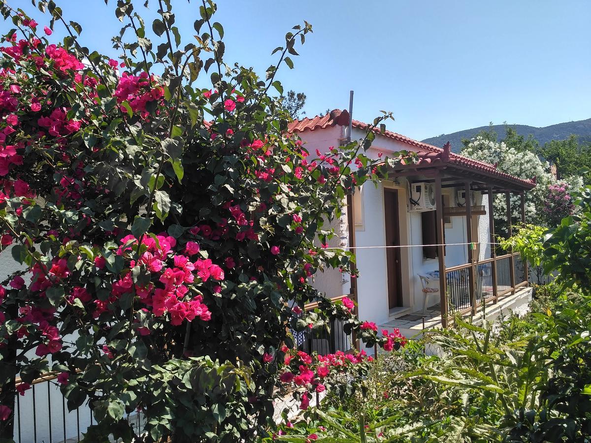 Kyriaki Hotel Skopelos Zewnętrze zdjęcie
