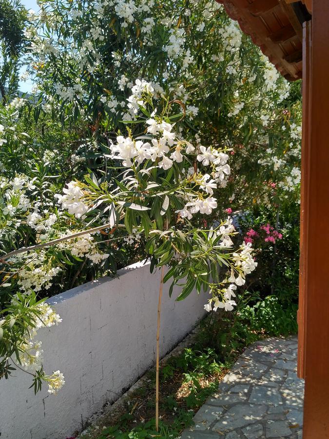 Kyriaki Hotel Skopelos Zewnętrze zdjęcie